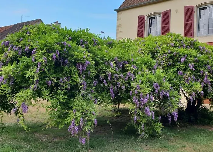 Jungbrunnen 3* Orges